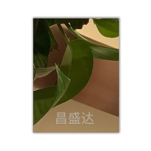 產品名稱